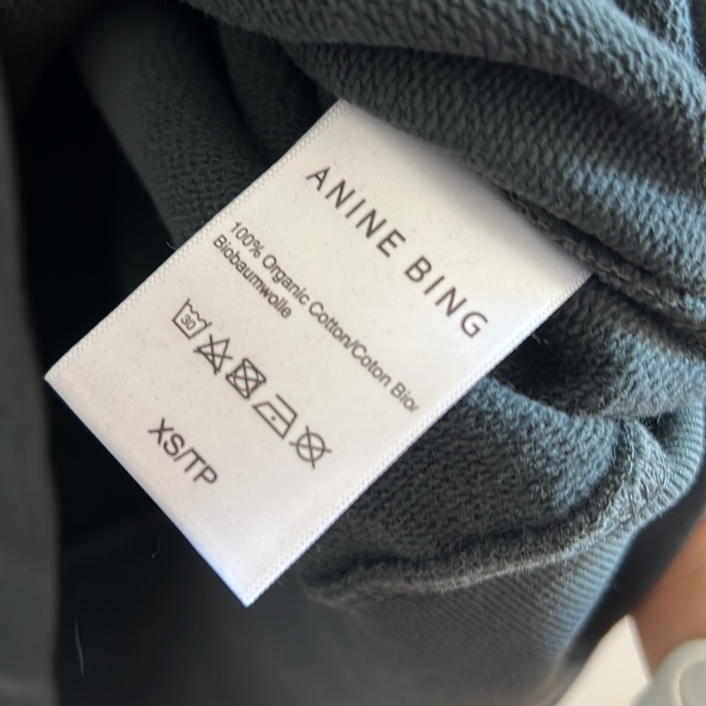 Anine Bing City Love Sweatshirt - Picture 6 of 11